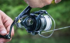 Pvlaov navijk Shimano Miravel - V akci