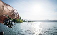 Pvlaov navijk Shimano Miravel - V akci