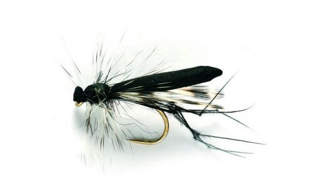 Real Daddy Black Real Daddy Black, vel. 10