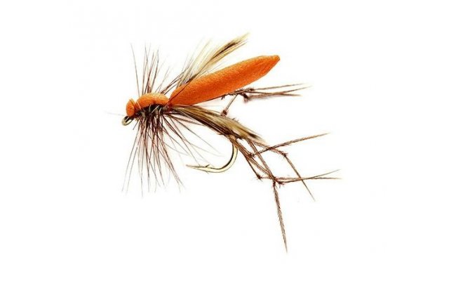 Real Daddy Orange Real Daddy Orange, vel. 10