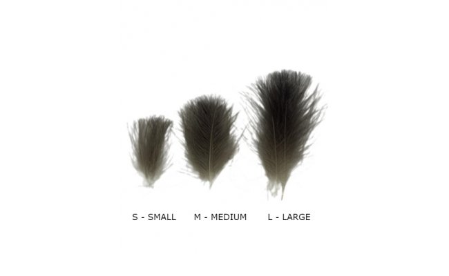 Vbrov CDC pe Quill & Fly 50 ks prodn Vbrov CDC pe Quill & Fly 50 ks prodn S