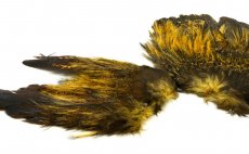 Pe Coq de Leon Whiting Mayfly Tailing Pack