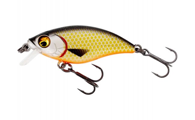 Wobler Westin BuzzBite SR Crankbait Official Roach Wobler Westin BuzzBite SR Crankbait Official Roach - 4 g; 4 cm