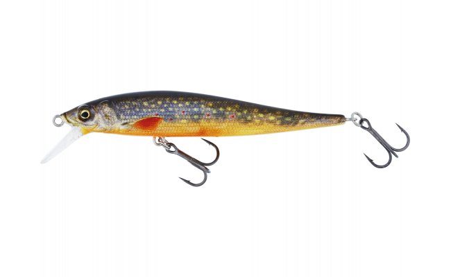 Wobler Westin Jerkbite SR Jerkbait Brook Trout Fry Wobler Westin Jerkbite SR Jerkbait Brook Trout Fry - 5 g; 7,5 cm