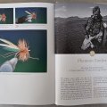 The Feather Bender's Advanced Flytying Techniques - Kniha - Náhled do knihy