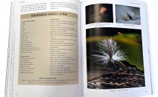 The KLINK - N�hled do knihy