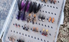 TOP Muky na pstruhov eky Podkrkono - Kolekce muek