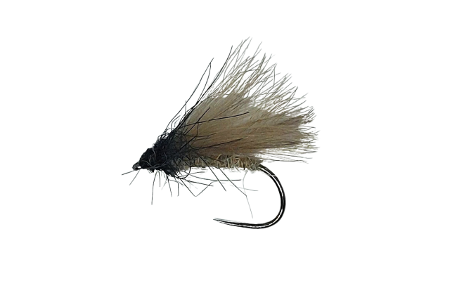 CDC chrost�k �edo-�ern� B/P CDC chrost�k �edo-�ern� B/P, vel. 12