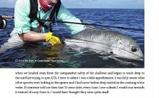 GT - A Flyfisher's Guide To Giant Trevally - Kniha - Nhled do knihy