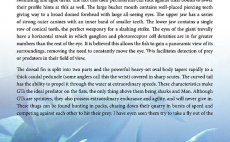 GT - A Flyfisher's Guide To Giant Trevally - Kniha - Nhled do knihy