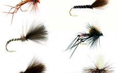 Mal sada jezernch suchch muek Fulling Mill Grab A Pack Stillwater Dry Flies - Kolekce muek