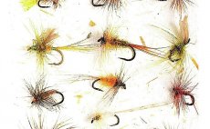 The Dry Fly - Nhled do knihy