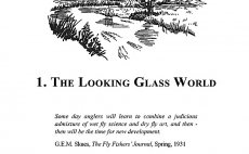 The Dry Fly - Nhled do knihy