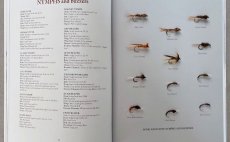 Trout From A Boat - N�hled do knihy