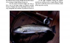 Trout From A Boat - N�hled do knihy