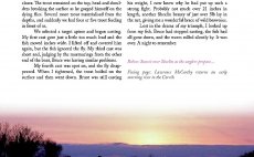 Trout From A Boat - N�hled do knihy