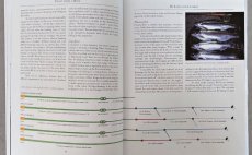 Trout From A Boat - N�hled do knihy