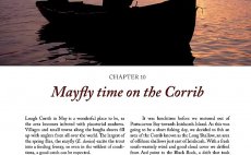 Trout From A Boat - N�hled do knihy