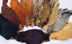 Indick kohout skalpy Veniard