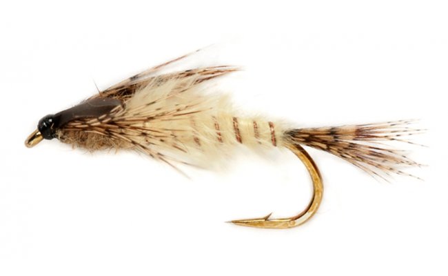 Procterova napodobenina velk nymfy mjovky Procterova napodobenina velk nymfy mjovky, vel. 8