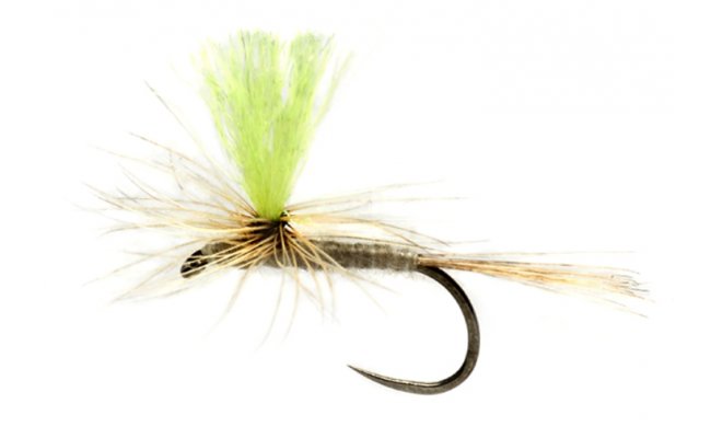 Procterova paraut jepice s fluo lutm kidlkem B/P Procterova paraut jepice s fluo lutm kidlkem B/P, vel. 14