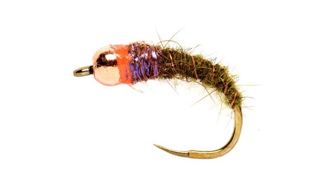 Tungstenov nymfa s oranovm lmekem olivov B/P Tungstenov nymfa s oranovm lmekem olivov B/P, vel. 12