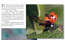 Terrestrials & Co. - Nhled do knihy