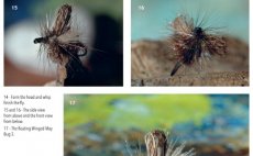 Terrestrials & Co. - Nhled do knihy