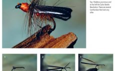 Terrestrials & Co. - Nhled do knihy