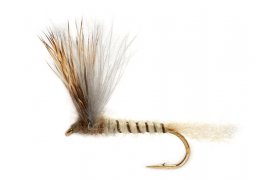 Procterova napodobenina velk� m�jovky ... Procterova napodobenina velk� m�jovky kladouc� vaj��ka, vel. 10