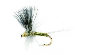 Blue Winged Olive Thorax Blue Winged Olive Thorax, vel. 16