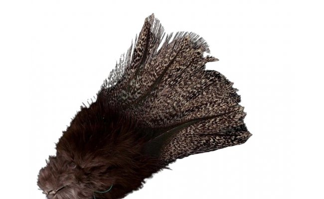 Coq de Leon Pardo Corzuno Medium � limitovan� s�rie (PCM) Coq de Leon Pardo Corzuno Medium � limitovan� s�rie (PCM)