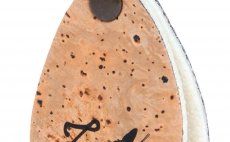 Guideline Fario Cork Accessories - Srovnva nvazc