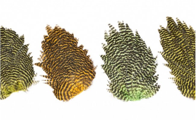 Genetick slepi sedla Veniard Genetic Hen Saddles Genetick slepi sedla Veniard Genetic Hen Saddles bl