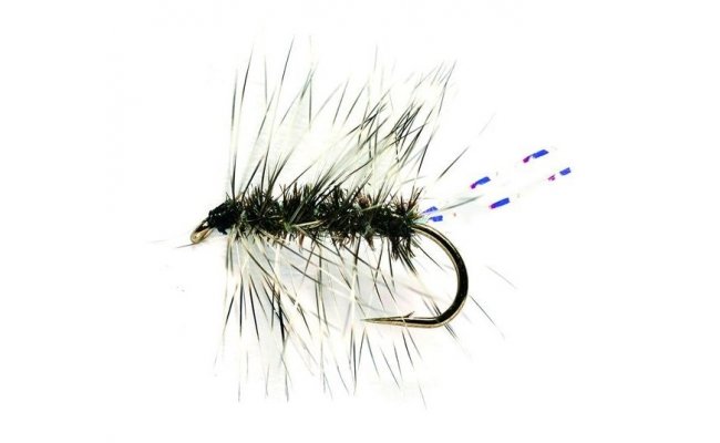 Griffiths Gnat Griffiths Gnat, vel. 16