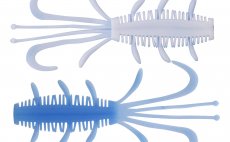 Gumov nstrahy Kinetic NYX - modro/bl