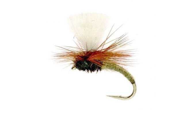 Klinkhammer Tan Klinkhammer Tan, vel. 16