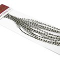Kohoutí srpky Whiting 100 Pack - Velikost 8