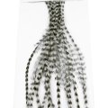 Kohoutí srpky Whiting 100 Pack - Velikost 8