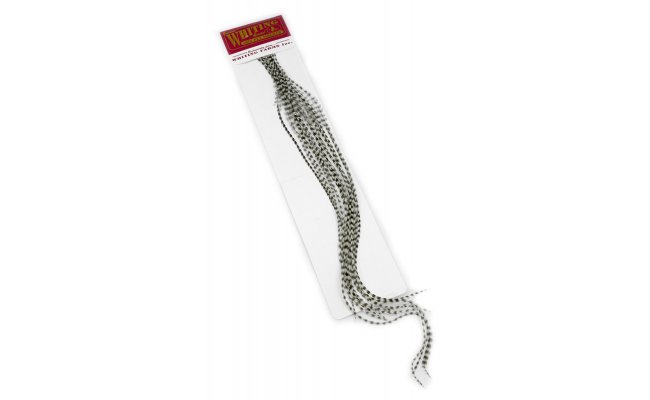 Kohout srpky Whiting 100 Pack - Velikost 8 Kohout srpky Whiting 100 Pack - Velikost 8 grizzly prodn