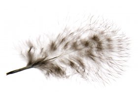 Marabou pe�� Hends Grizzly Marabou Marabou pe�� Hends Grizzly Marabou b�l�-�ern� pruhovan�