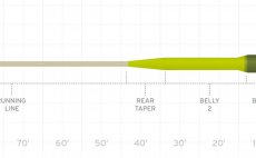 Mukask ra plovouc s potpivm koncem Scientific Anglers 3M Sonar Titan Sink Tip 3