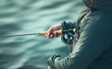 Mu�ka�sk� ���ra intermedi�ln� Guideline Coastal Classic - V akci