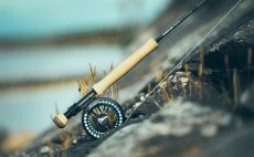 Mu�ka�sk� ���ra intermedi�ln� Guideline Coastal Classic - V akci