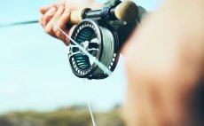 Mu�ka�sk� ���ra intermedi�ln� Guideline Coastal Classic - V akci