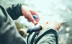 Mu�ka�sk� ���ra intermedi�ln� Guideline Coastal Classic - V akci