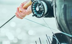 Mu�ka�sk� ���ra intermedi�ln� Guideline Coastal Classic - V akci