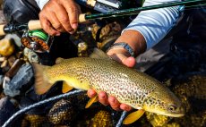 Mu�ka�sk� prut Shimano Biocraft XR Fly Nymph