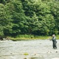 Muškařský set - Guideline Embrace Sea Trout & Salmon SW - V akci