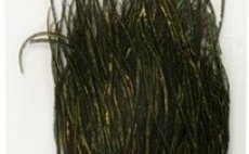 Pav� paprsky Fulling Mill Premium Selected Peacock Herl p��rodn�